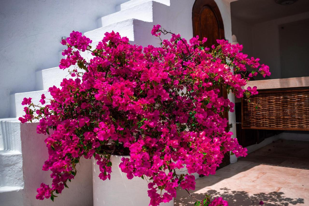 Hotel Aguamarina Boutique (Adults Only) Cartagena Exterior photo